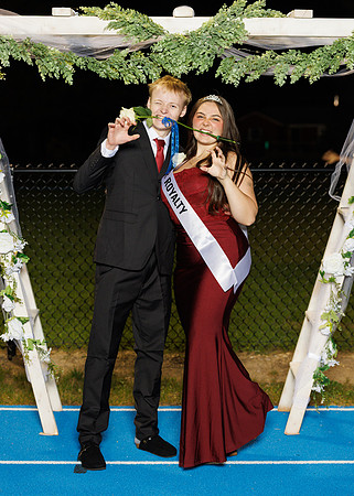 RLP28527