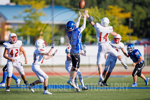 RLP59079