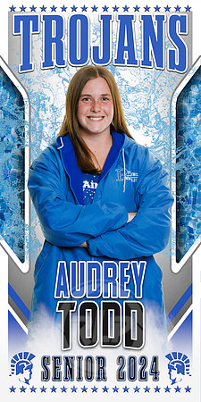 Swim - Audrey Todd
