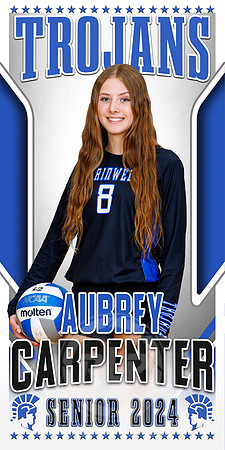 VB - Aubrey Carpenter